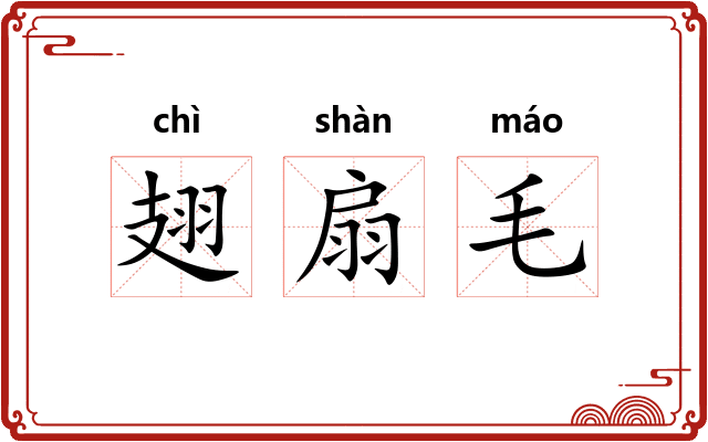 翅扇毛