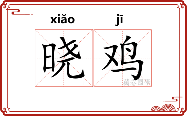 晓鸡