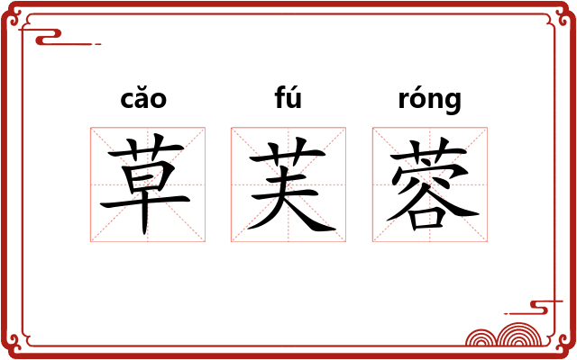 草芙蓉