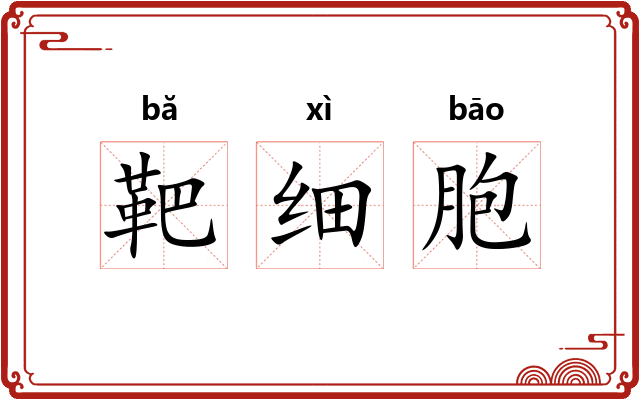 靶细胞