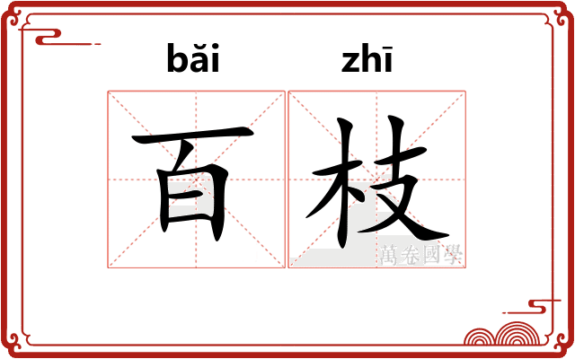 百枝