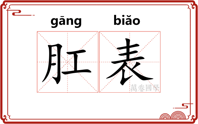 肛表