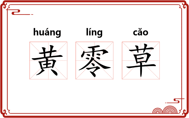 黄零草