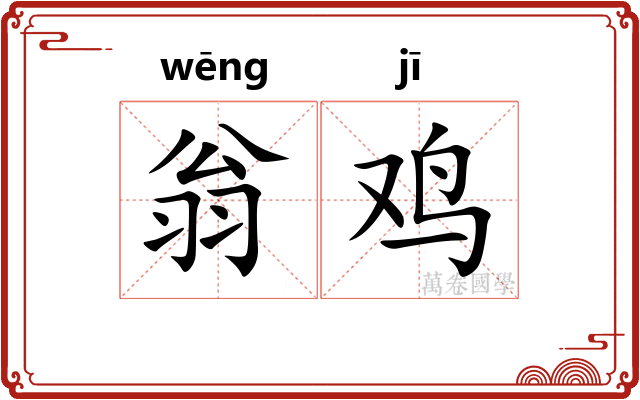 翁鸡