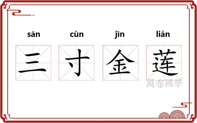 三寸金莲