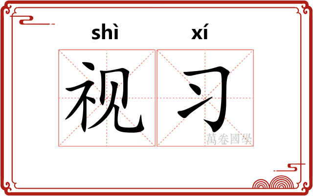 视习