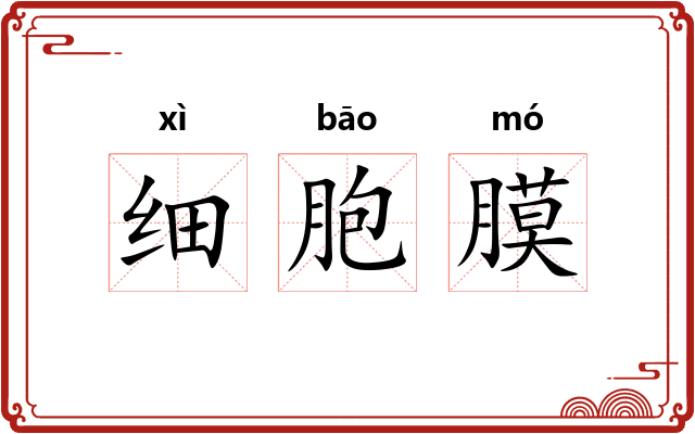 细胞膜