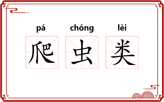 爬虫类