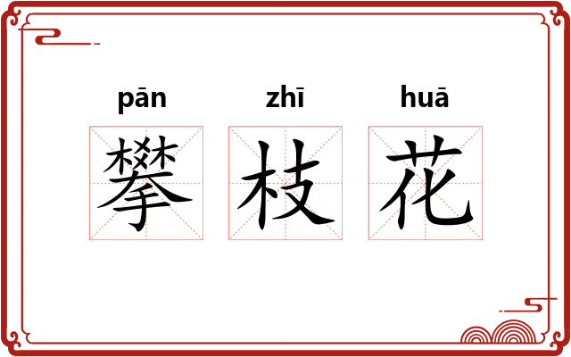 攀枝花