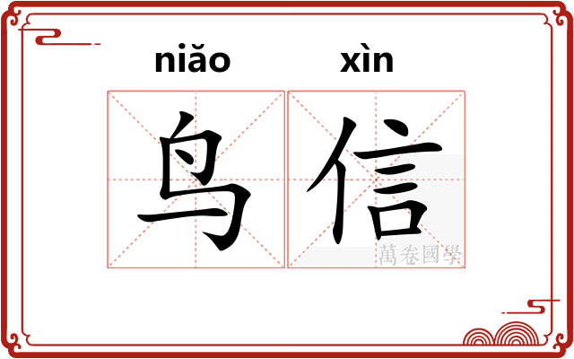鸟信