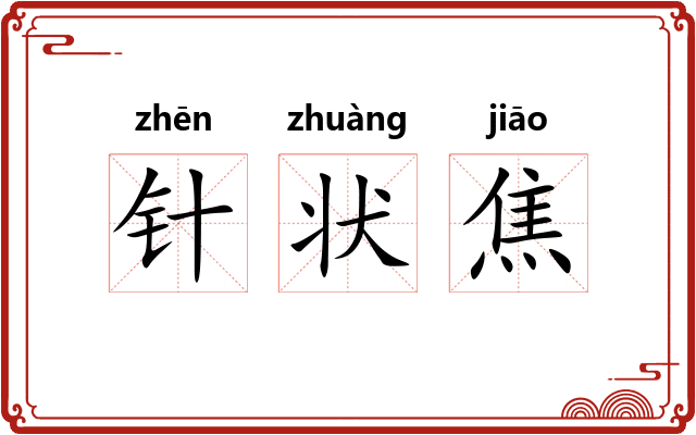 针状焦