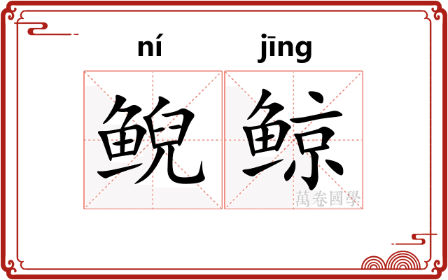 鲵鲸