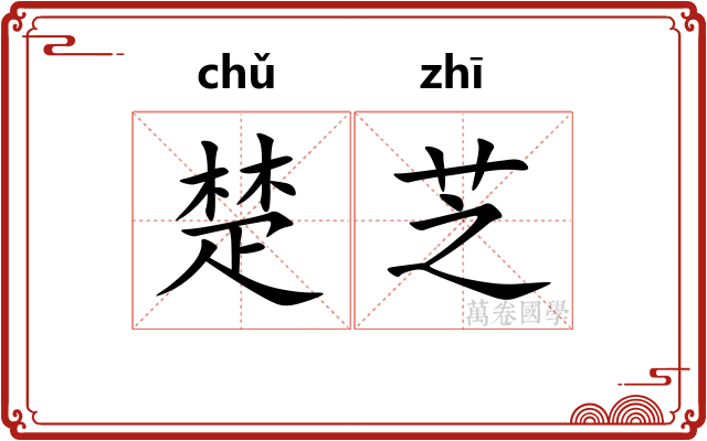 楚芝
