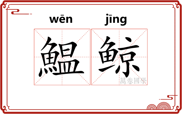 鰛鲸
