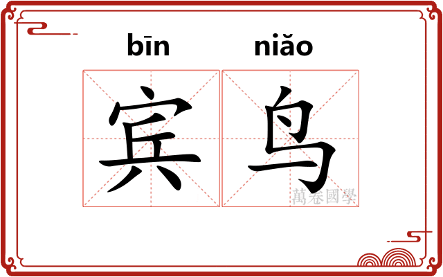 宾鸟
