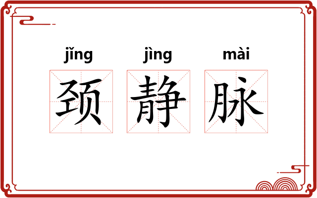 颈静脉