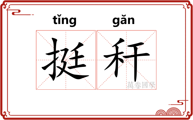 挺秆
