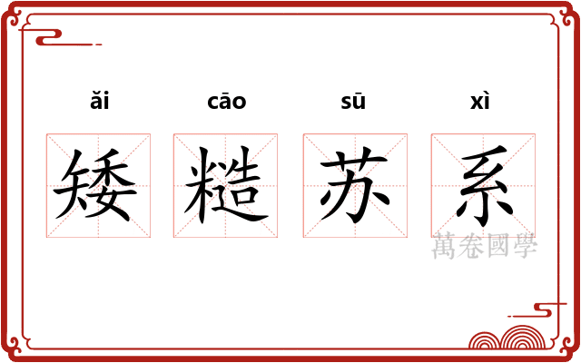 矮糙苏系
