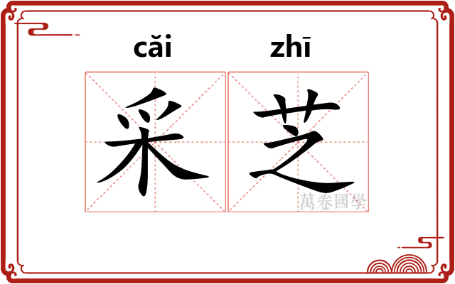 采芝
