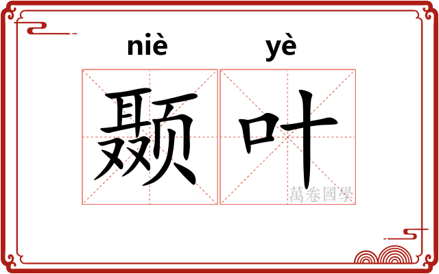 颞叶