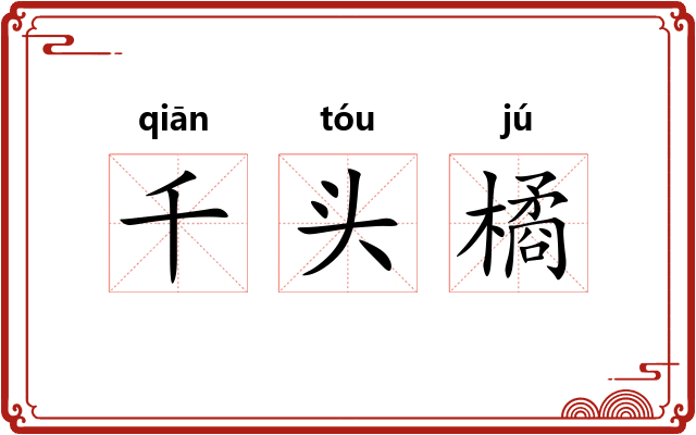 千头橘 千头橘