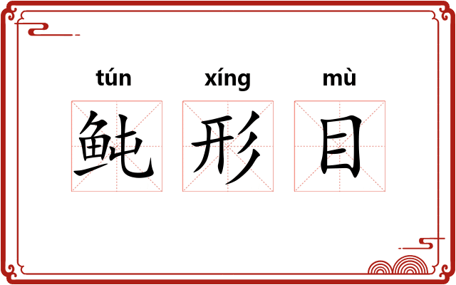 鲀形目