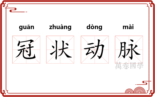 冠状动脉 冠状动脉