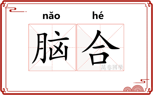 脑合