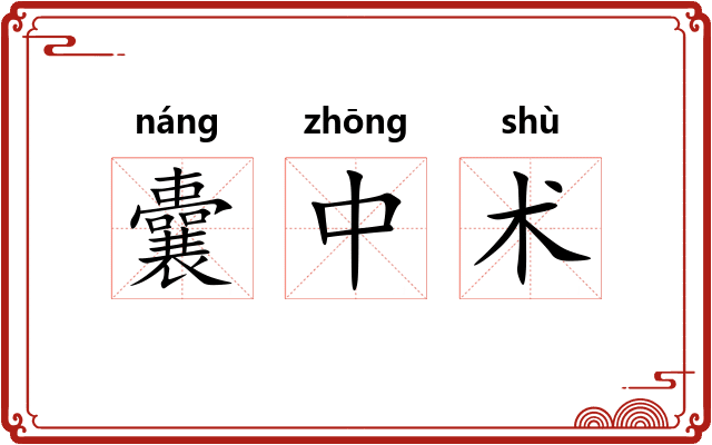 囊中术