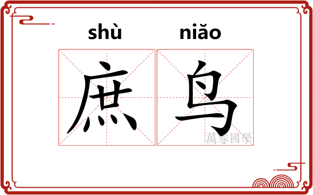 庶鸟