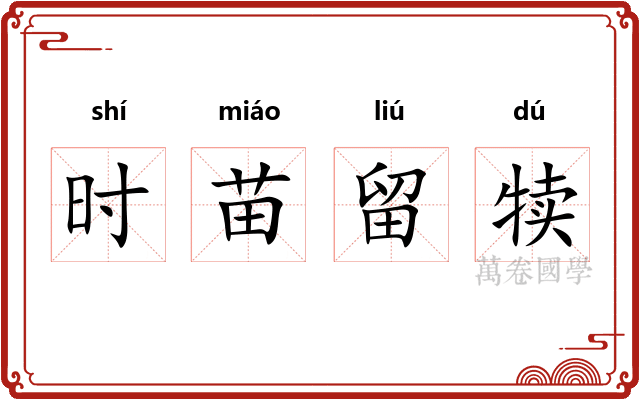 时苗留犊