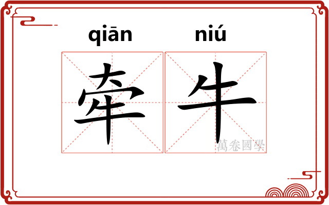 牵牛
