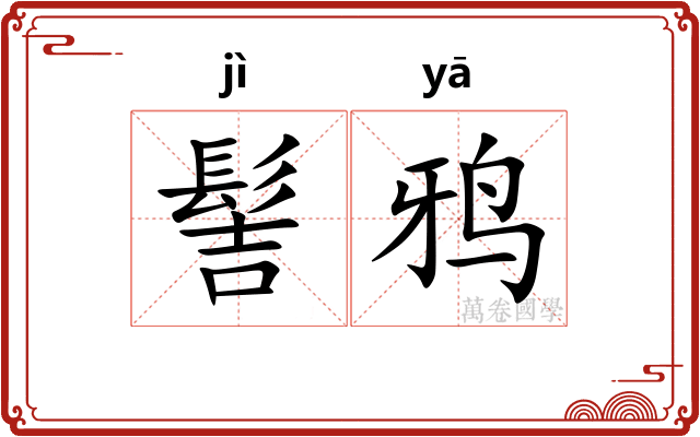 髻鸦