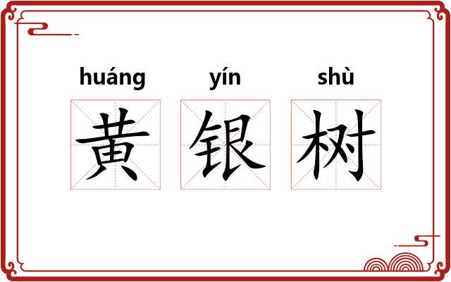 黄银树 黄银树