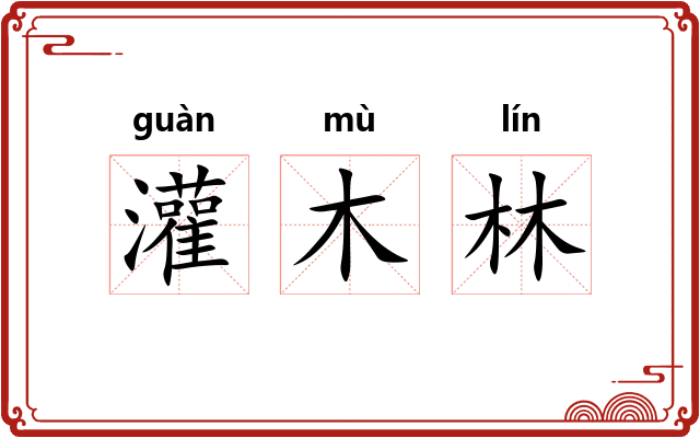 灌木林