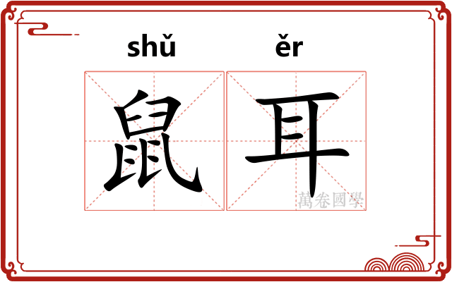 鼠耳