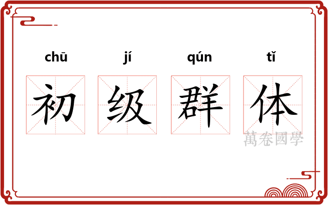 初级群体