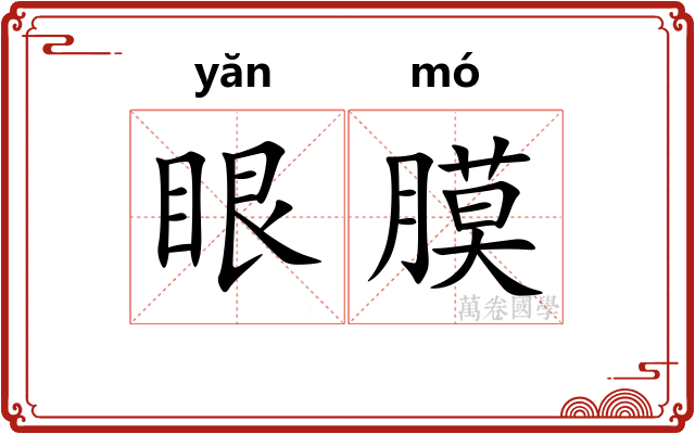 眼膜