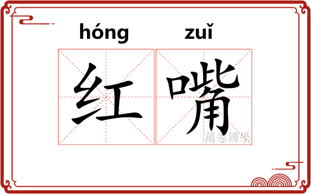 红嘴