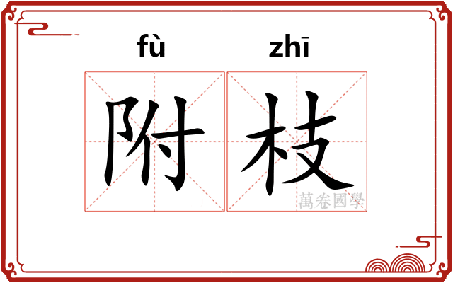 附枝