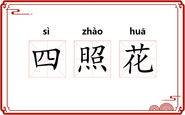 四照花