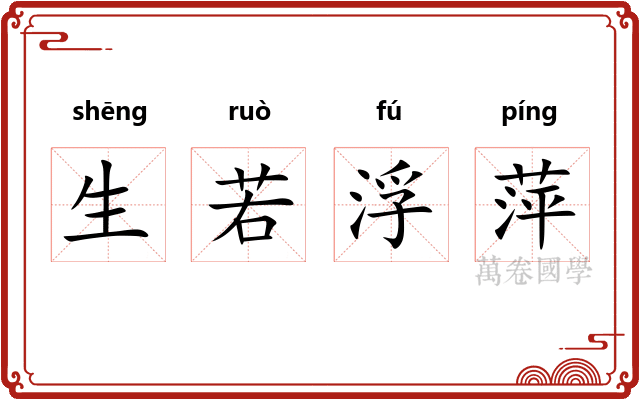 生若浮萍