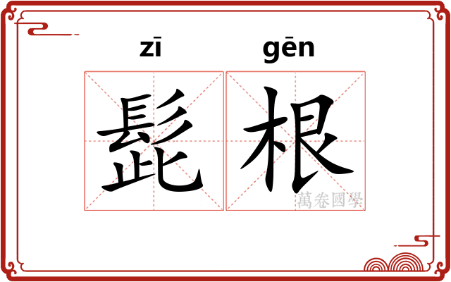 髭根