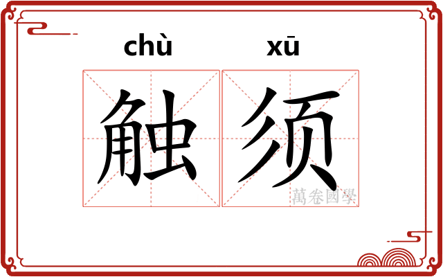 触须