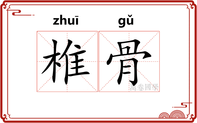 椎骨