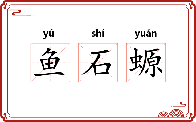 鱼石螈 鱼石螈