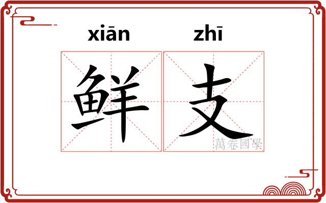 鲜支 鲜支