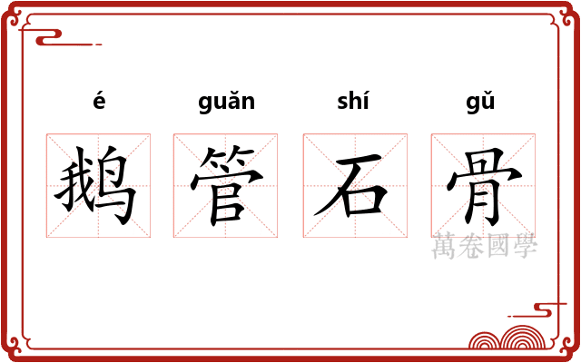 鹅管石骨 鹅管石骨