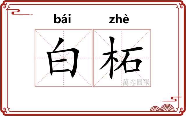白柘