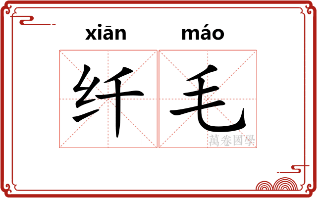 纤毛 纤毛